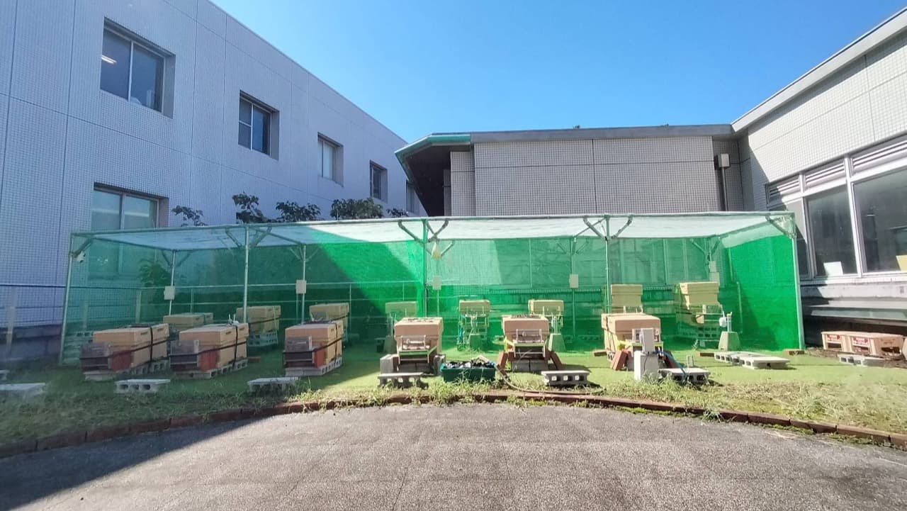 青空の下、緑のネットに囲まれた養蜂場に巣箱が並ぶ全景