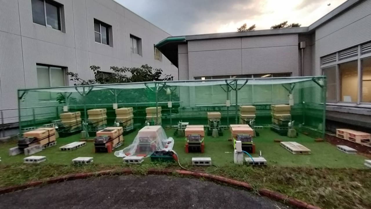 緑のネットに囲まれた養蜂場に巣箱が並び、中央の巣箱に白いネットが掛かる全景